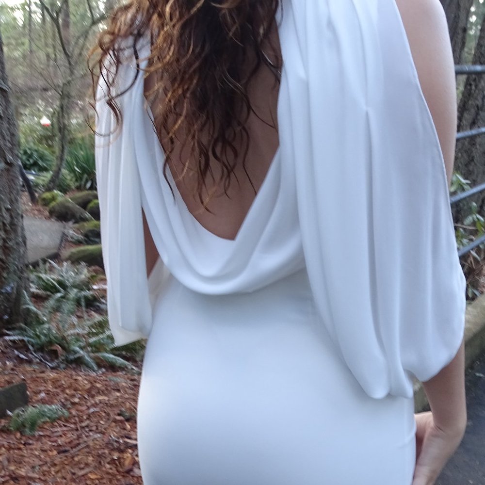Halston Heritage White Long Dress / Wedding Dress - Picture 13 of 16